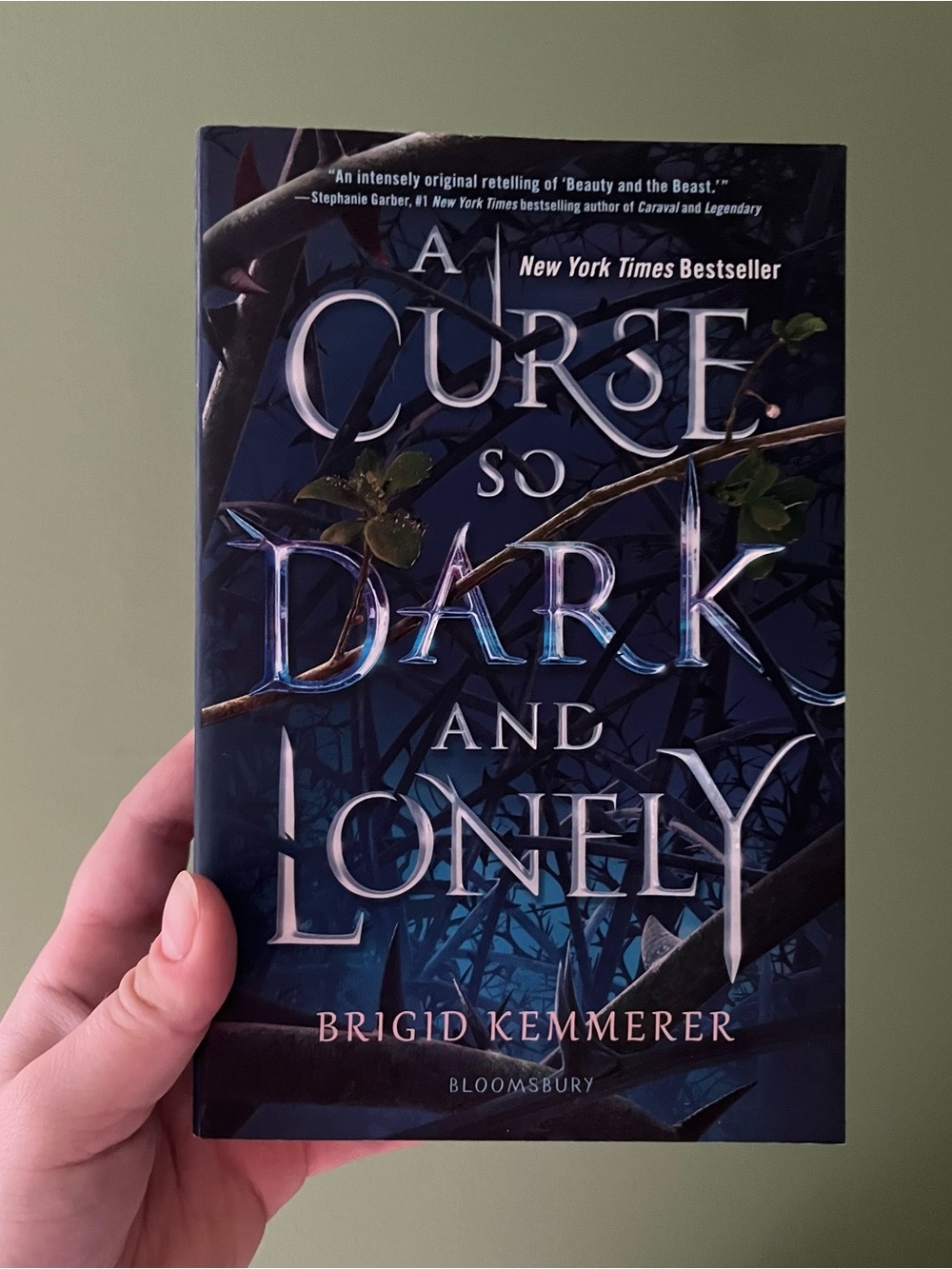 A Curse So Dark and Lonely by Brigid Kemmerer | Booktok Fantasy Book